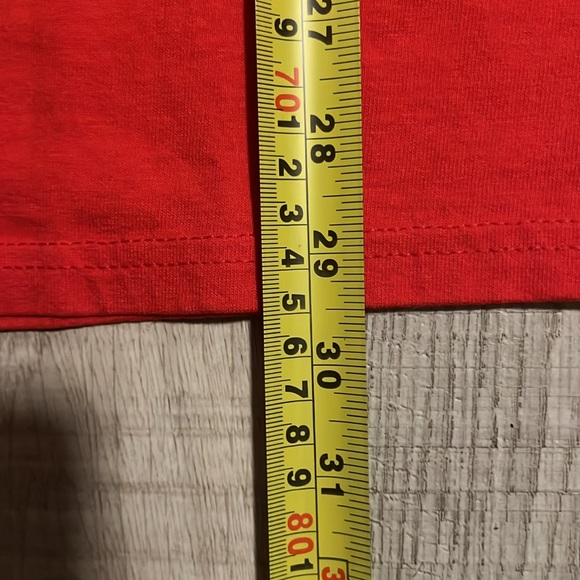 St. Louis Cardinals Post Season 2011 Rally Squirrel - Picture 5 of 6